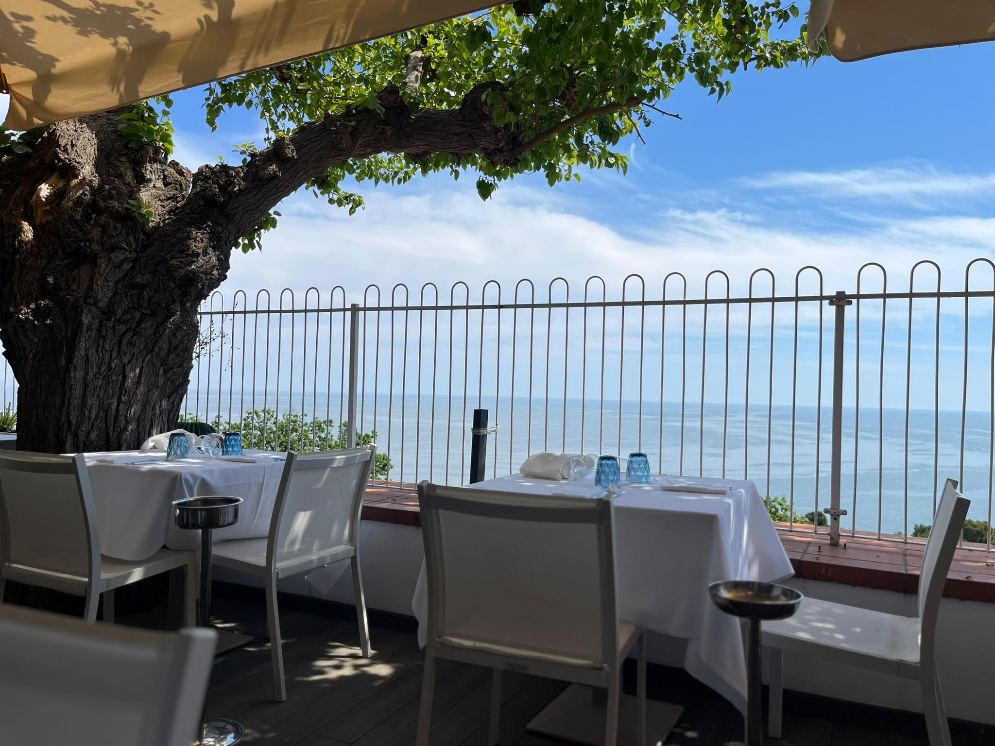 Terrazza del Ristorante della Rosa con tavoli apparecchiati in bianco, bicchieri azzurri, olivo e ringhiera sul mare